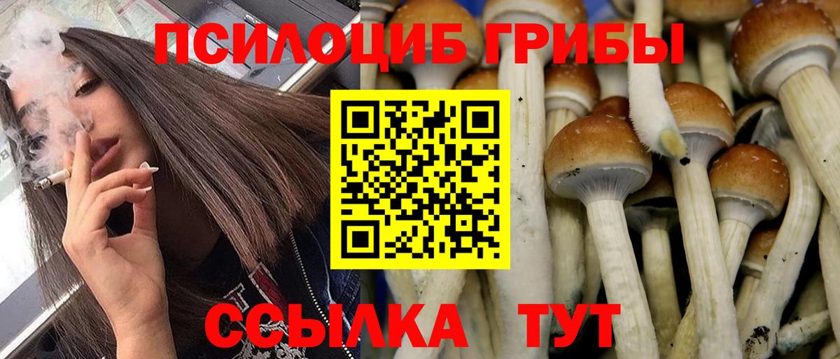 Псилоцибиновые грибы ЛСД Пугачёв