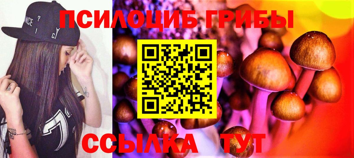 Пугачёв  Псилоцибиновые грибы MAGIC MUSHROOMS  Вход с VPN 